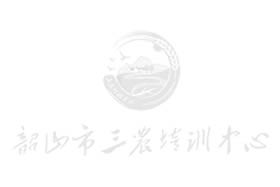 知識(shí)產(chǎn)權(quán)著作（項(xiàng)）